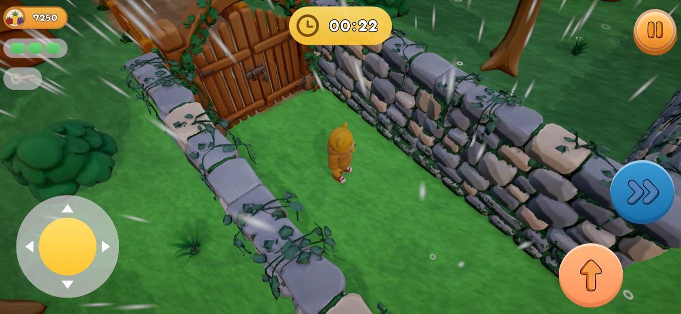 The bear on the grass in the rain beside a low stone wall, a wooden gate ahead.